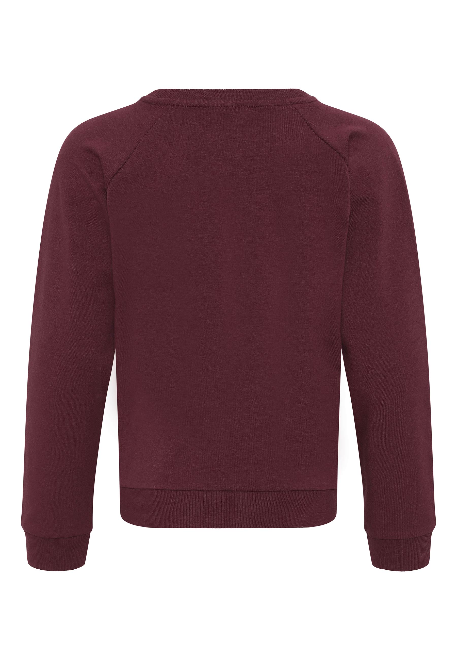GROBUND Calle Sweatshirt Mini - die in Brombeerfarben mit Libelle